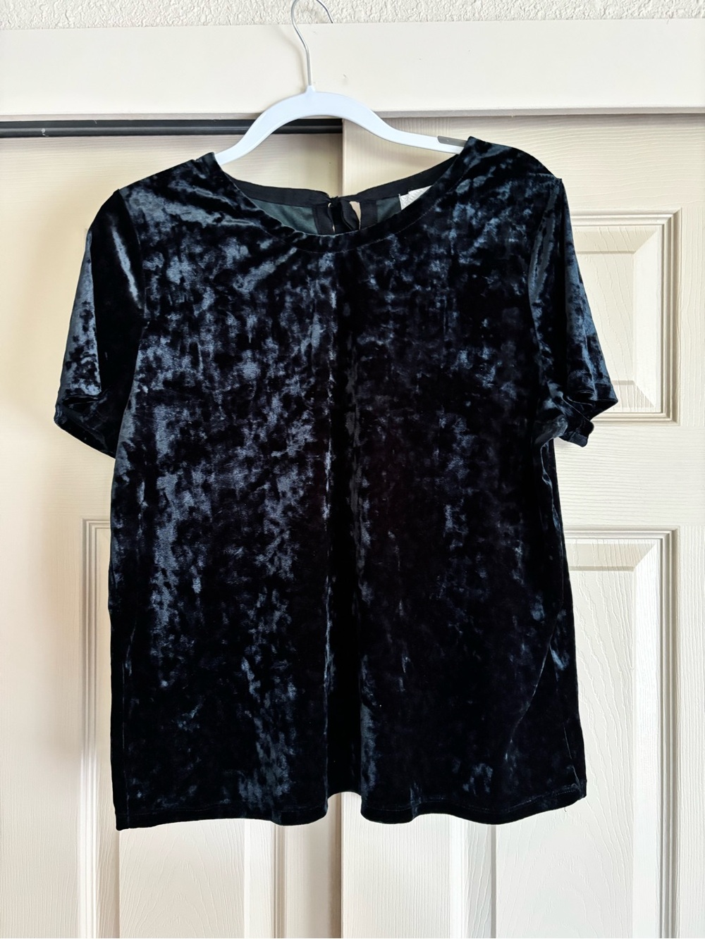 Deep aqua green color  Velvet Short-Sleeve Women's Top by 14 and Union in L